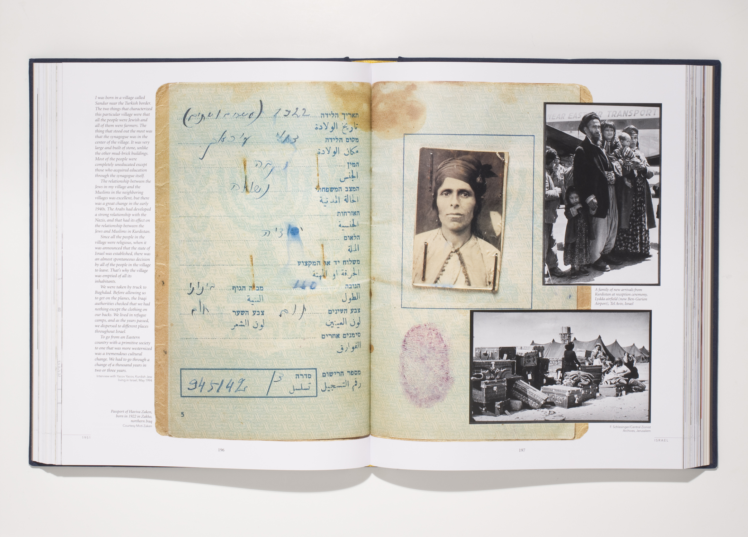 Fig. 5: Meiselas, Susan; Rosenberg, Claire. 2008. «In the Shadow of History» [Photograph]
 
