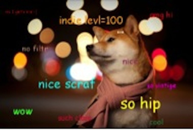 Unknown author, Unknown year. “Doge macro” [Meme]
