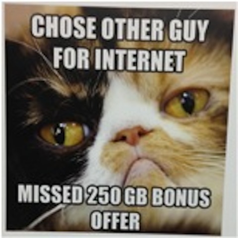 Unknown author, Unknown year. “Grumpycat” [Meme]
Source: http://www.researchthroughgaming.com/gaming/exploring-the-marketability-of-memes/
