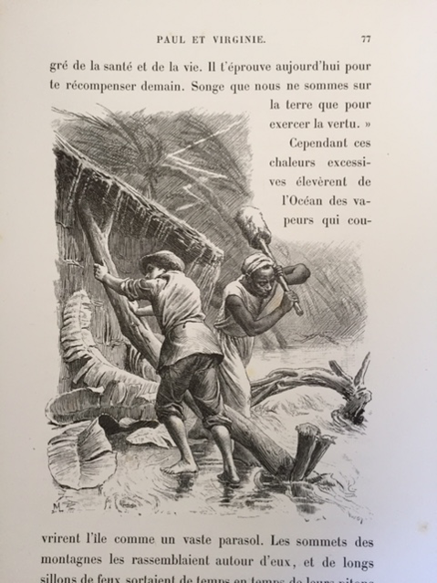 Dans cette illustration, Paul doit faire face à la tempête qui s’abat sur l’île. Figure 25.
