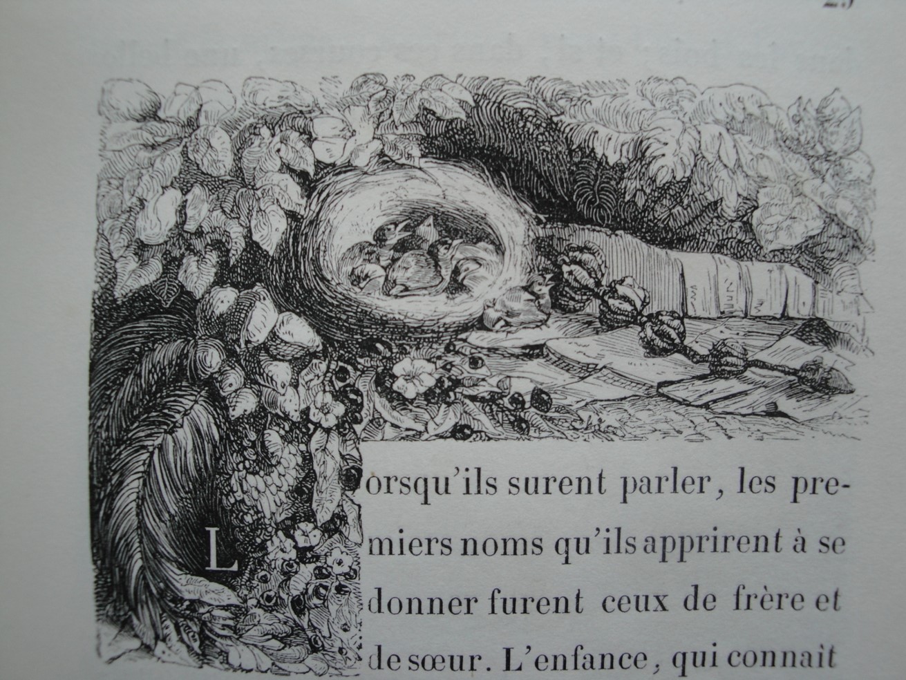 Portrait de la nature avec la présence d’oisillons dans leur nid. Léon Curmer, 1838. Figure 26.
