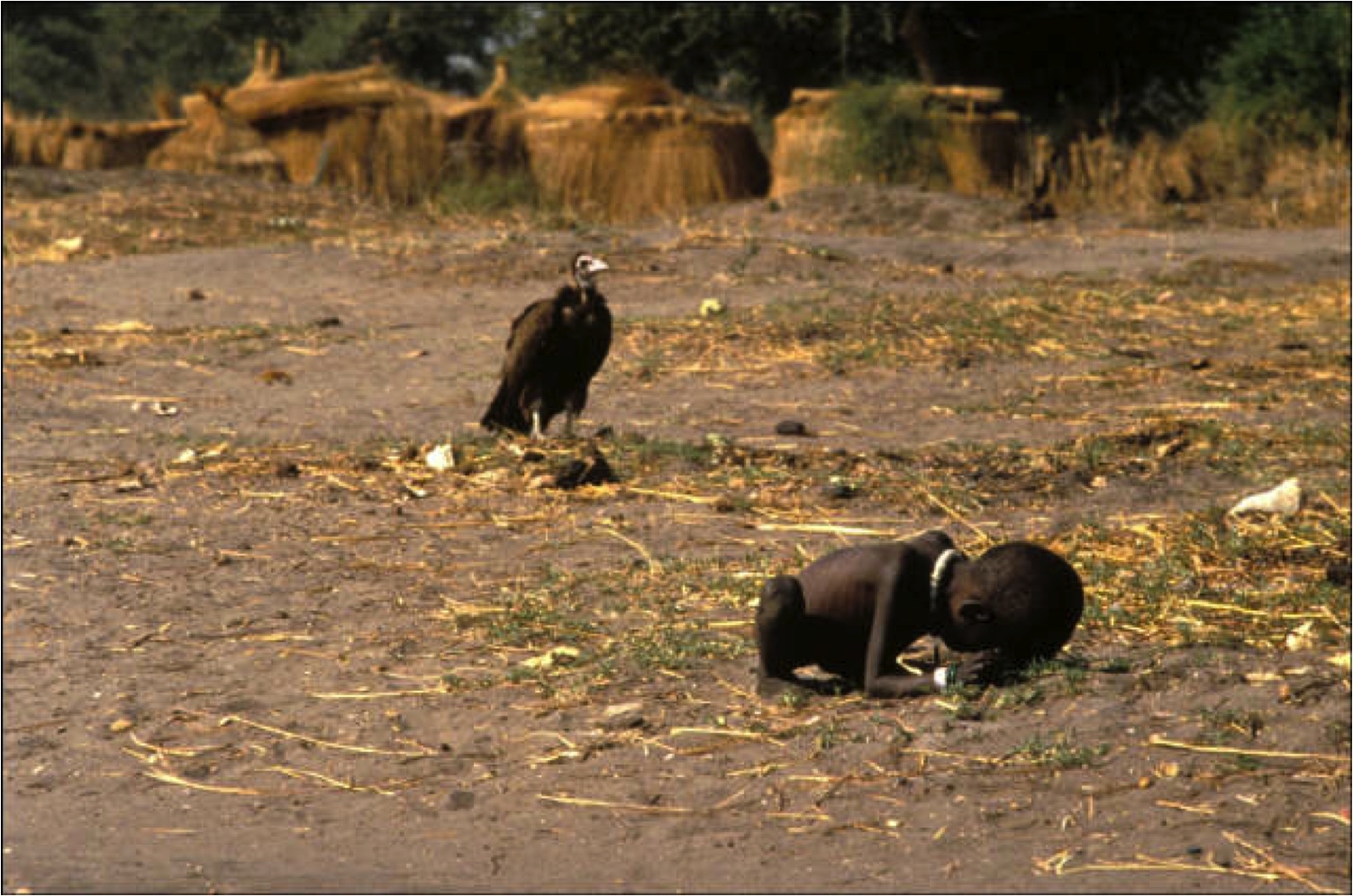 Fig. 1: Carter, Kevin. 1993. Soudan. «La fillette et le vautour» [Photographie]
Prix Pulitzer 1994
