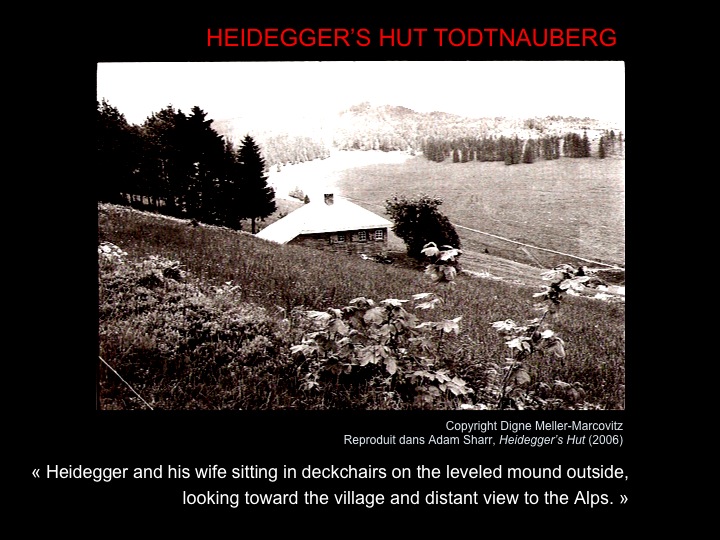Fig. 11: Meller-Marcovitz, Digne. «Heidegger’s Hut: Todtnauberg» [Capture d’écran]
