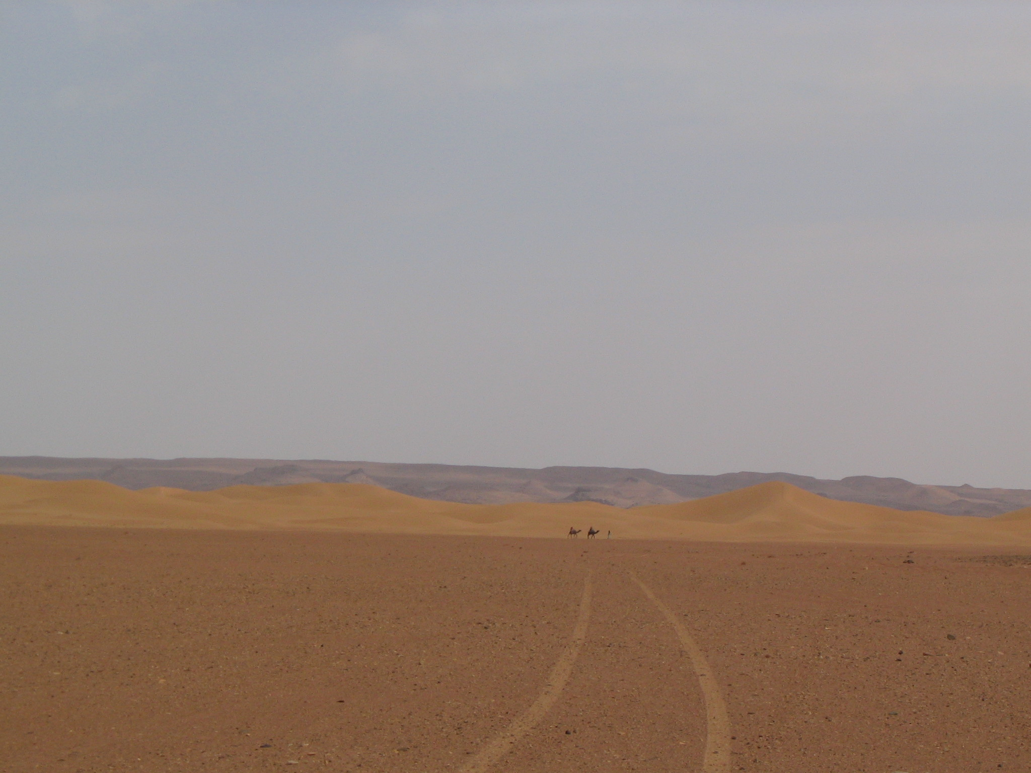 Bouvet, Rachel. 2004. «Désert du Sahara (Maroc), novembre 2004» [Photographie] 