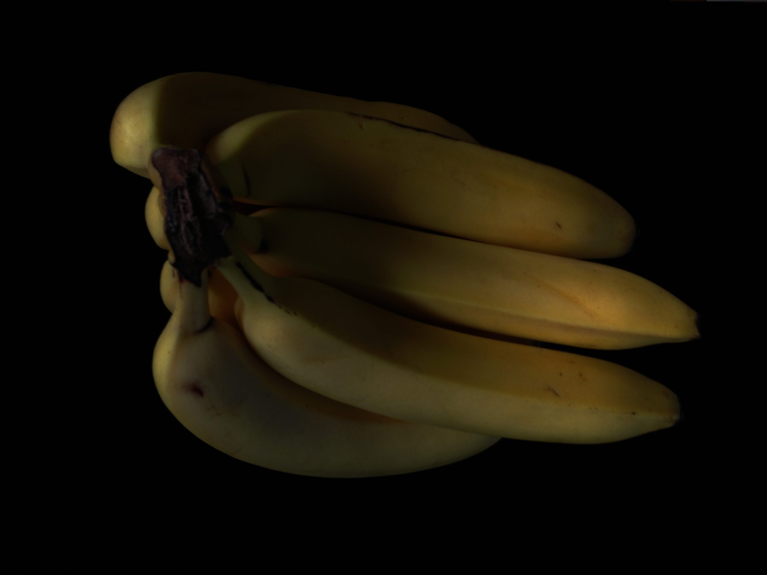 Courchesne, Luc. 1974. «Bananas Ripen In The Dark»
