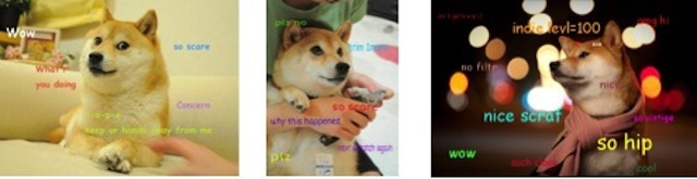 Unknown author, Unknown year. “Doge macro” [Memes]
