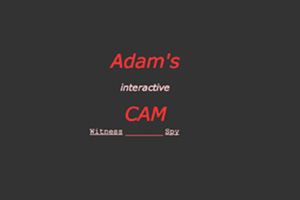 Fig. 3: Page d’accueil de Adam’s Cam
