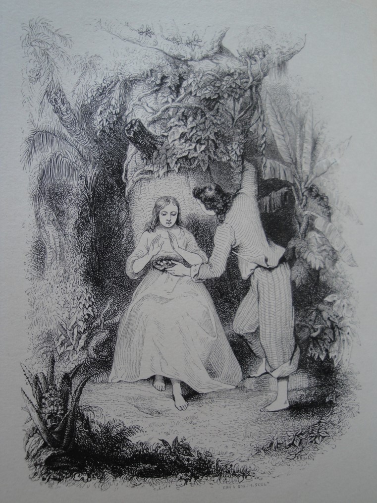 «Dans l’édition de Curmer, la figure de Virginie est clairement au centre des illustrations alors que celle de Paul est repoussée dans les marges à gauche ou à droite du groupe principal». Léon Curmer, 1838. Figure 11.
