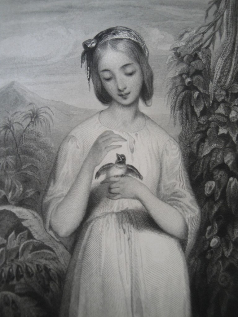 Portrait de Virginie fait par Tony Johannot. Léon Curmer, 1838. Figure 8.
